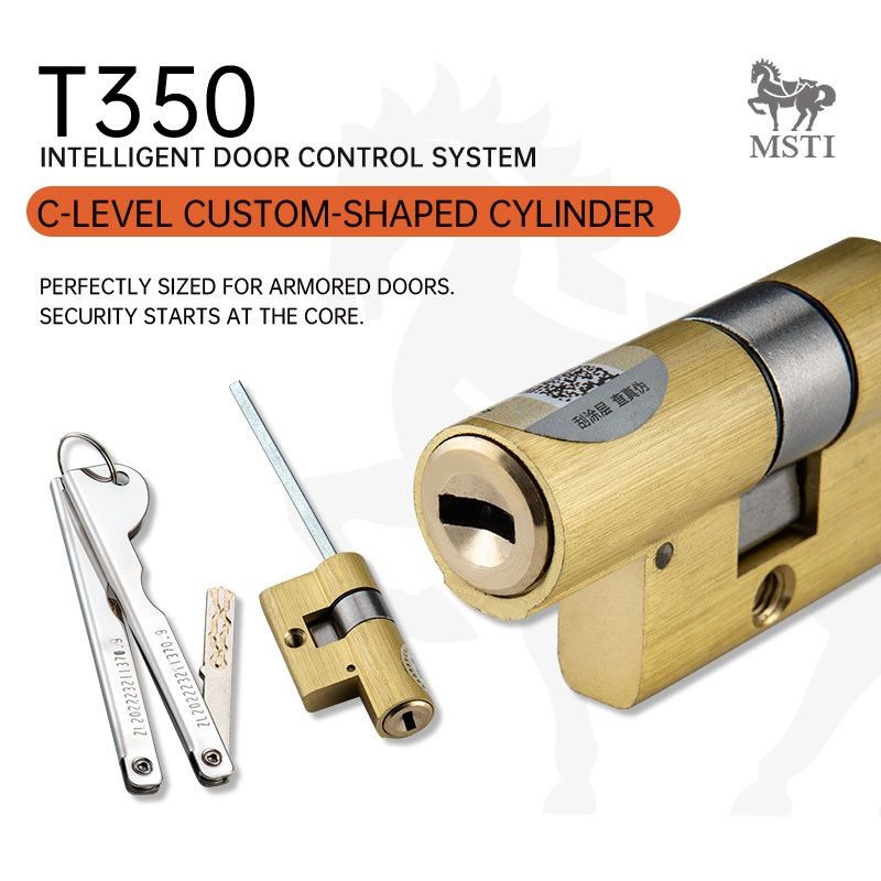T350 C-Level Custom-Shaped Cylinder