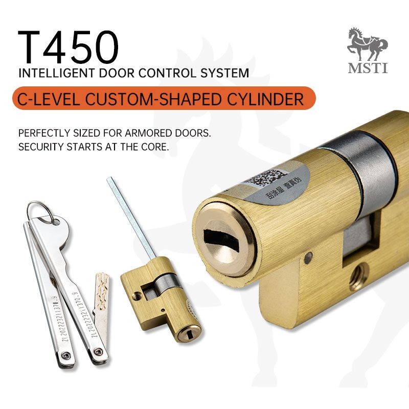 T450 C-Level Custom Lock Cylinder – Security at the Core