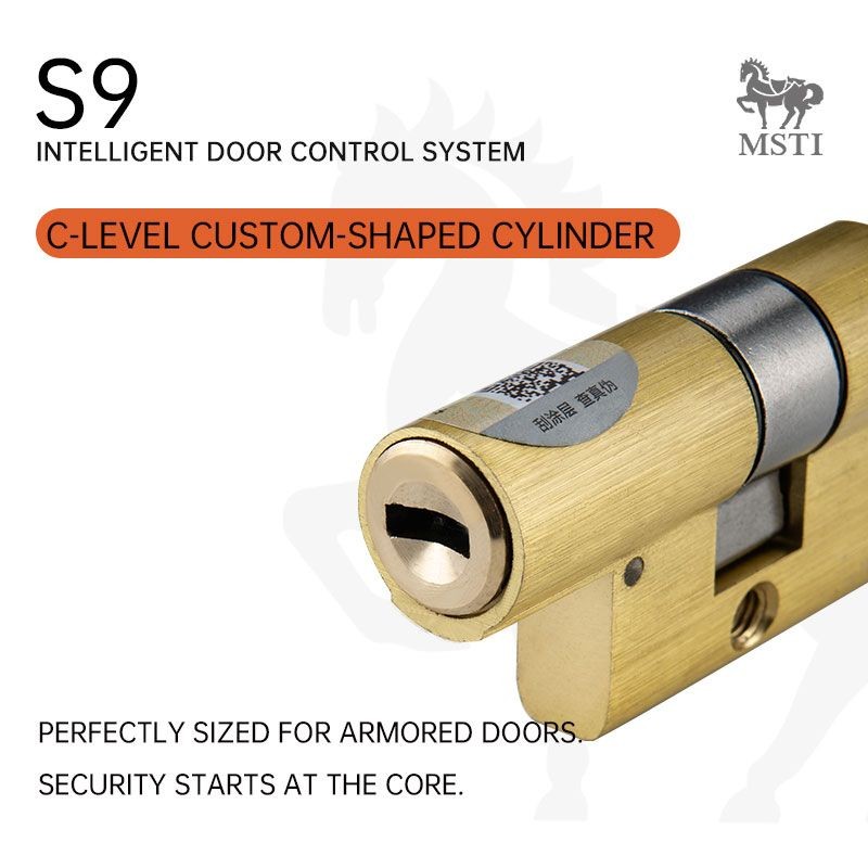 C-level custom cylinder for S9 smart lock, designed for armored doors with enhanced security.
