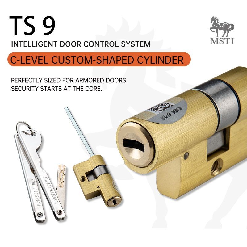 TS9 C-Level Custom-Shaped Lock Cylinder for Armored Doors