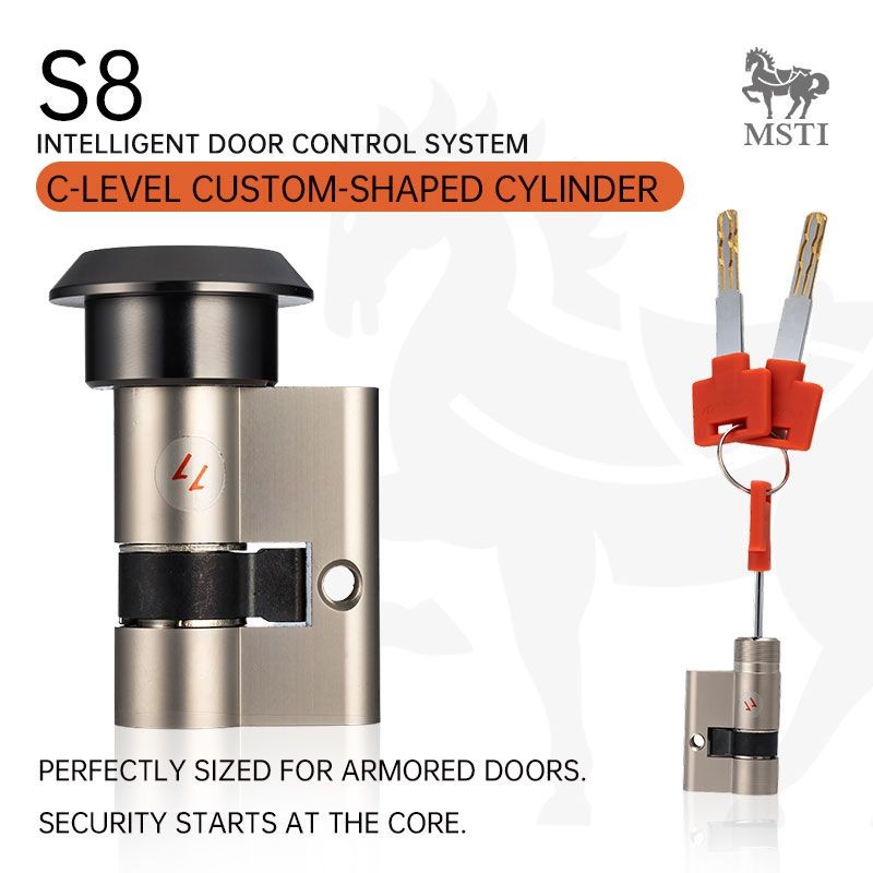 C-level custom cylinder for S8 smart lock, anti-pick design for armored doors.